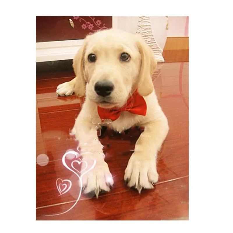 Classic Bow Ties