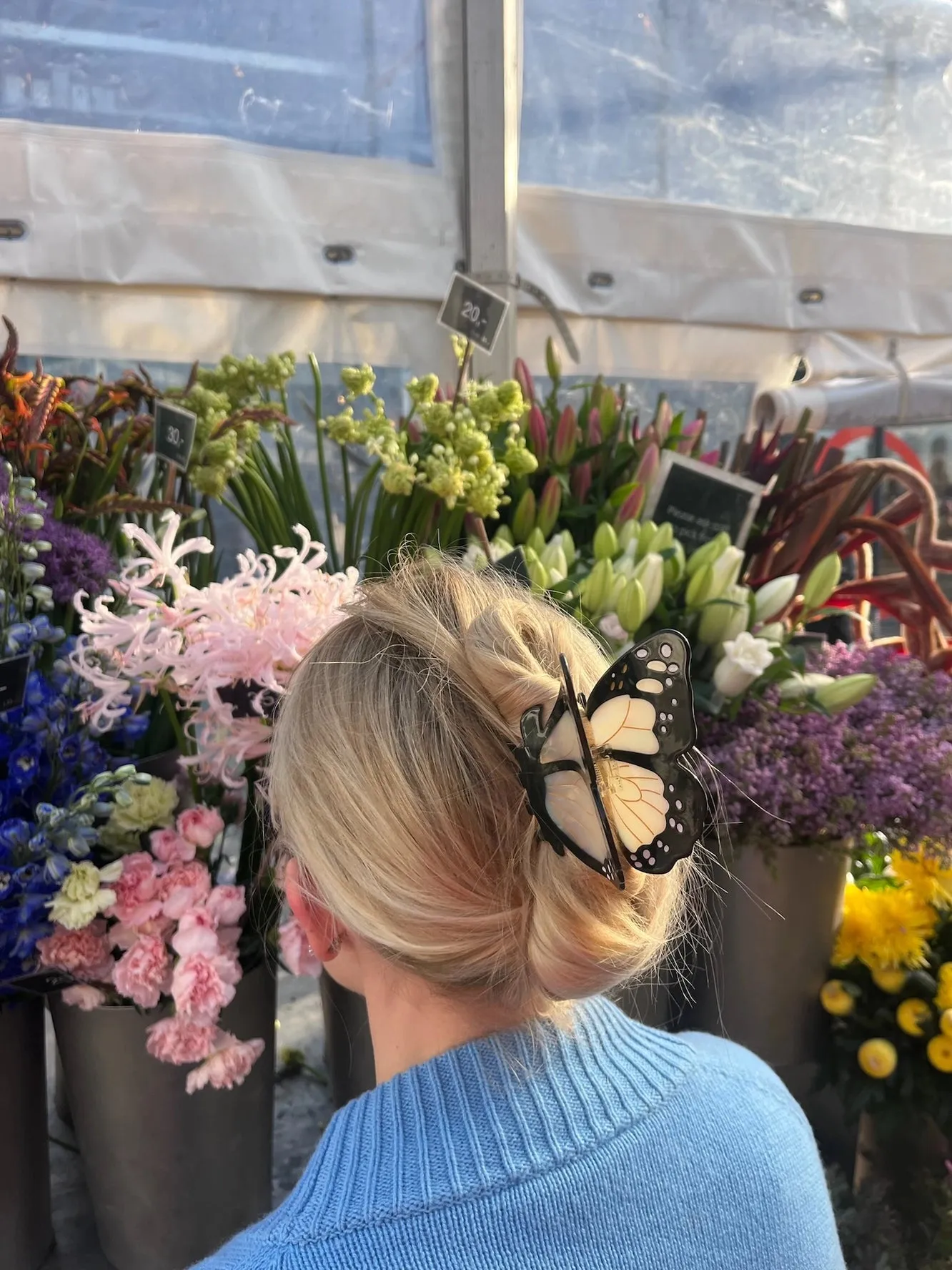 Hand Painted Claw Hair Clips
