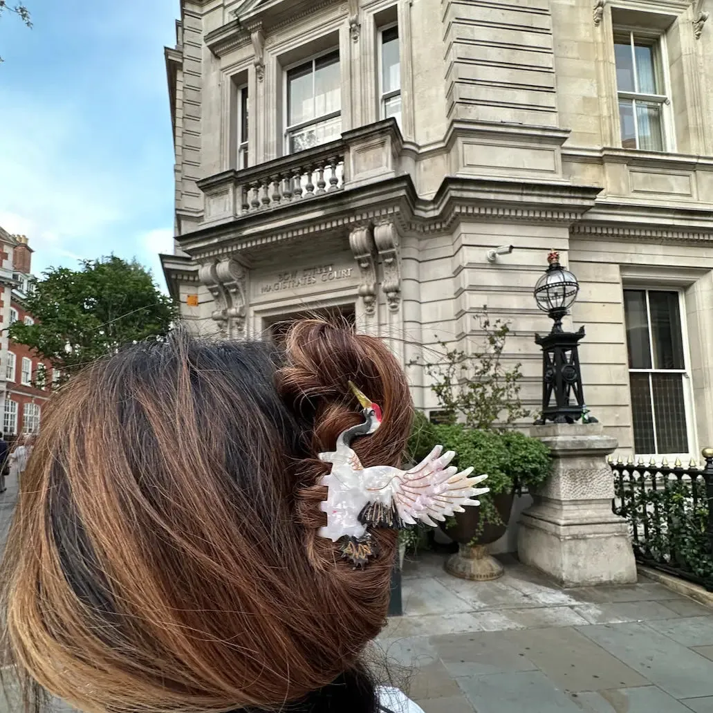 Hand Painted Claw Hair Clips