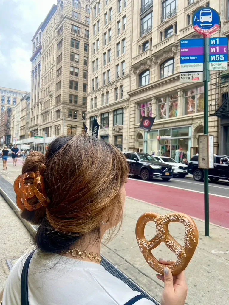 Hand Painted Claw Hair Clips