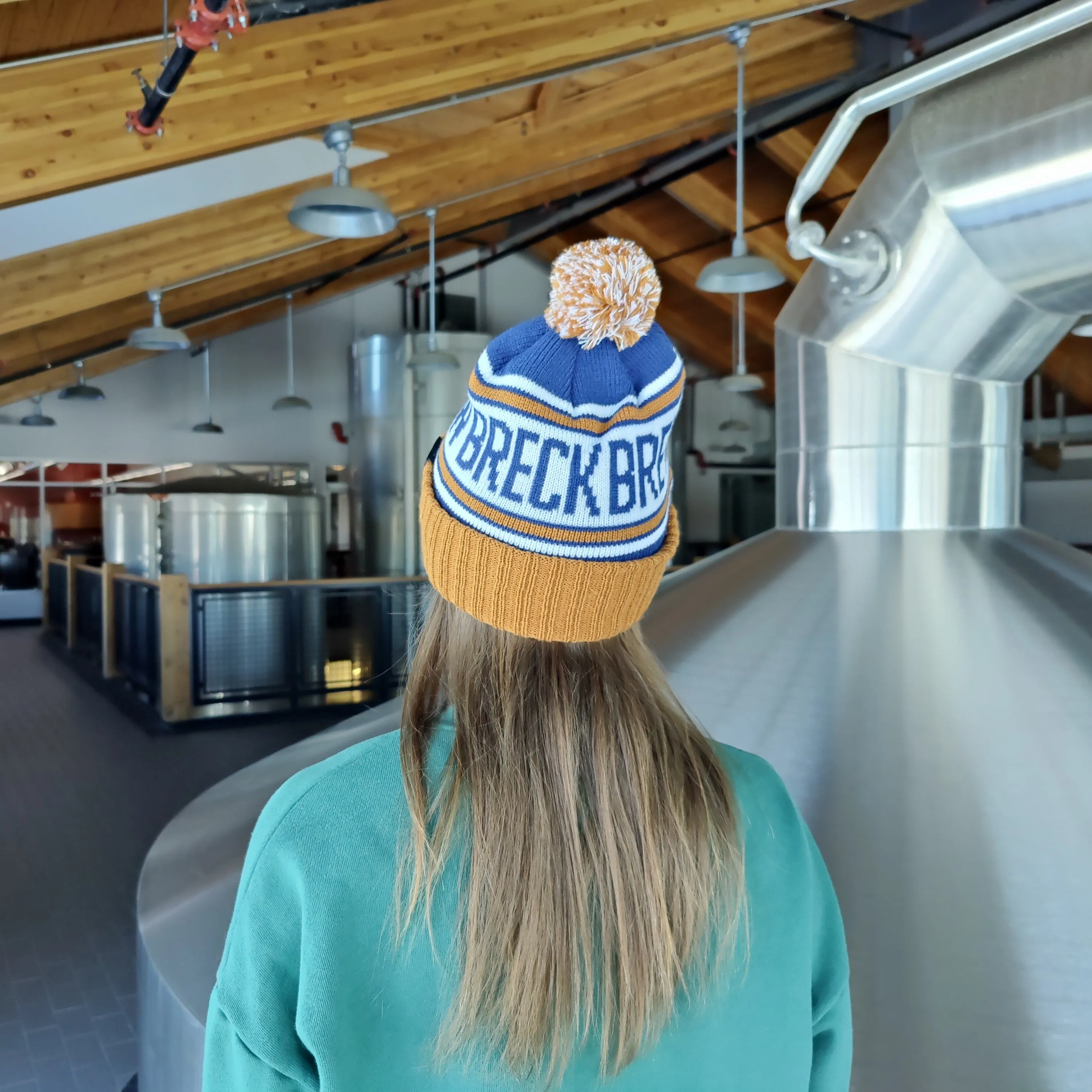 Shade Pom Beanie - Brown & Blue